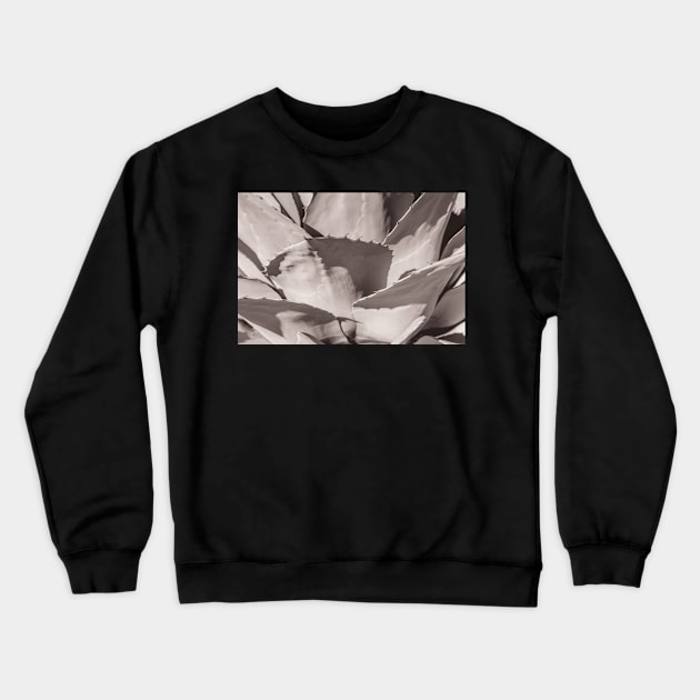 Barbed wonder Crewneck Sweatshirt by thadz